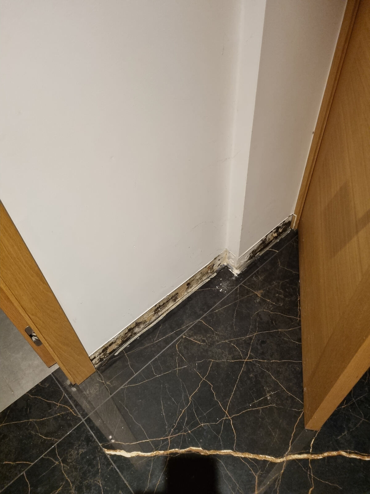 Avant rénovation — moisissure en bas de cloison suite à un dégât des eaux dans une villa de Biarritz