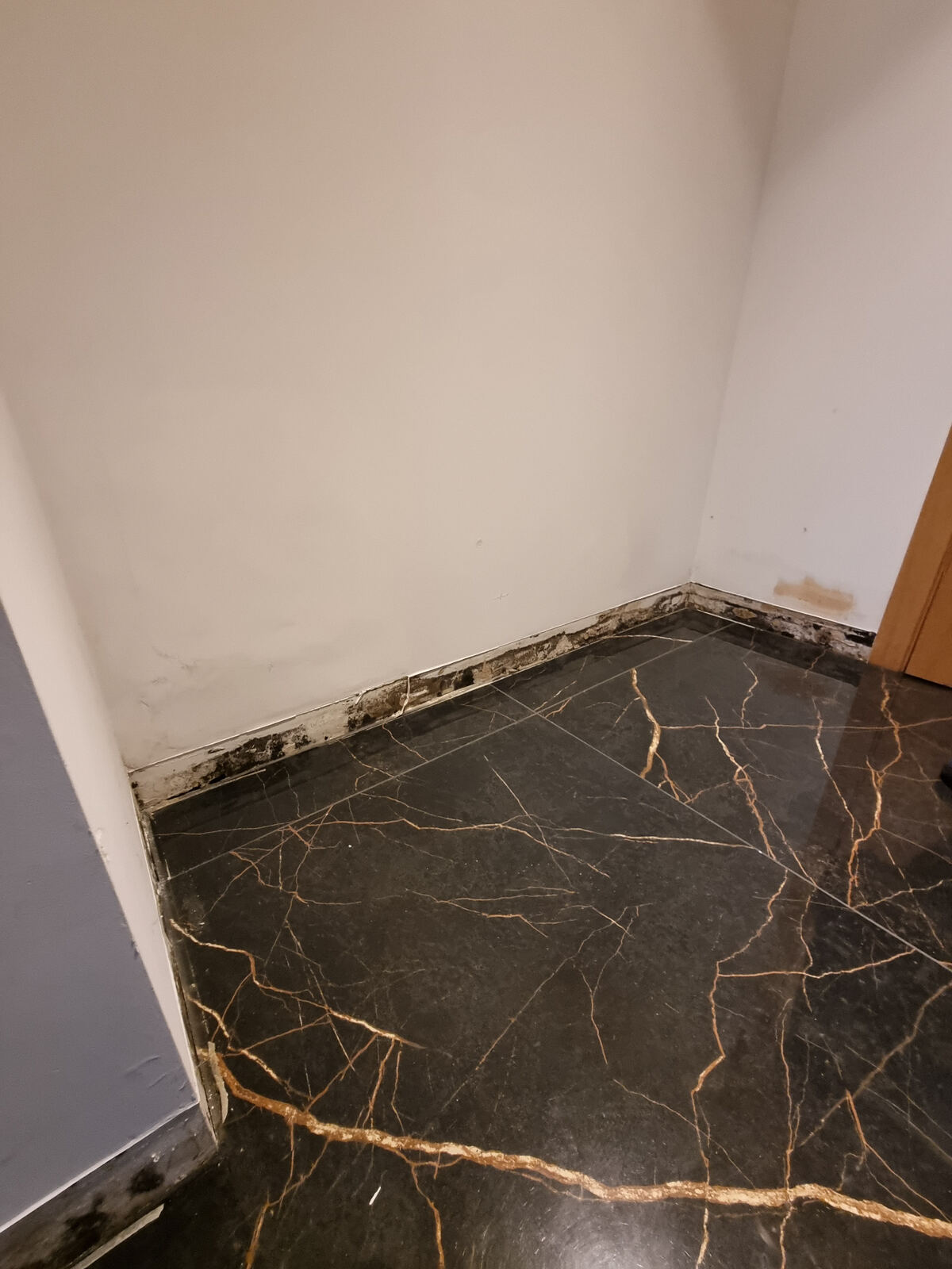 Avant rénovation — traces noires d'humidité en bas de mur après dégât des eaux à Biarritz